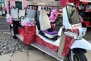 Tuktuk tour in historical old lisbon, city center and Belem