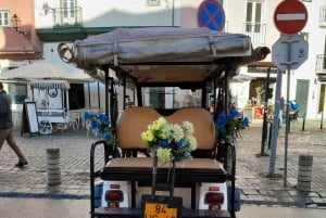 Lisbon: Private City Tour by Eco-friendly Tuk Tuk