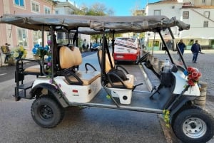 Lisbon: Private City Tour by Eco-friendly Tuk Tuk