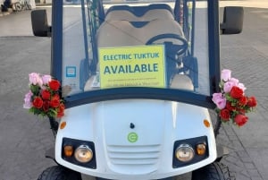 Lisbon: Private City Tour by Eco-friendly Tuk Tuk