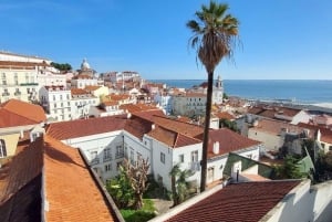 Nice: Lerins Islands Boat Tour with Snorkeling