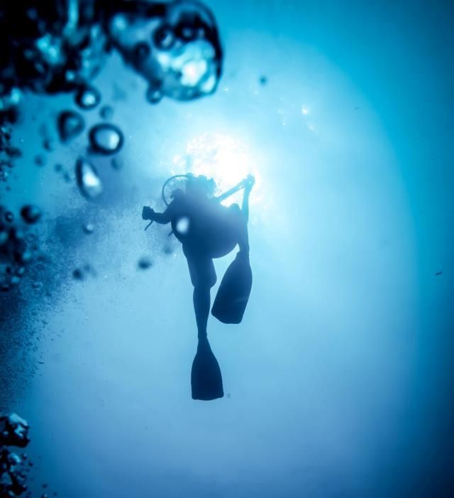 Diver in the deep blue sea - photo by Steve Woods Underwater Photography
