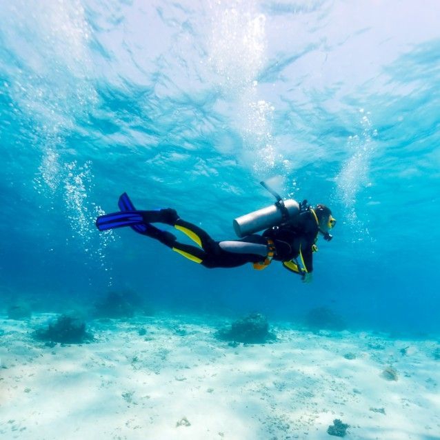 Scuba Dive the pristine reefs