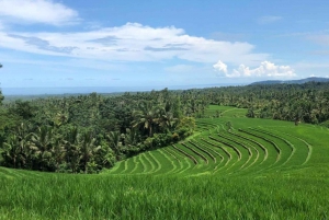 19 dagars upptäcktsfärd i Indonesien Bali Lombok Sumbawa på motorcykel