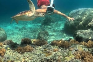 2D1N Snorkeling & Stay: Explore 3 Gili + Gili Trawangan