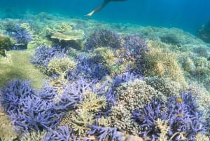 Tour exclusivo: Gili Nanggu, Sudak y Kedis. Almuerzo gratis + GoPro.