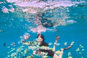 Tour exclusivo: Gili Nanggu, Sudak y Kedis. Almuerzo gratis + GoPro.