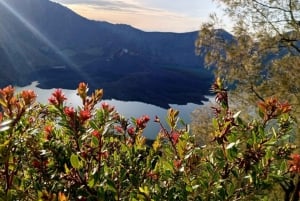 4 dage/3 nætter på toppen af Mount Rinjani