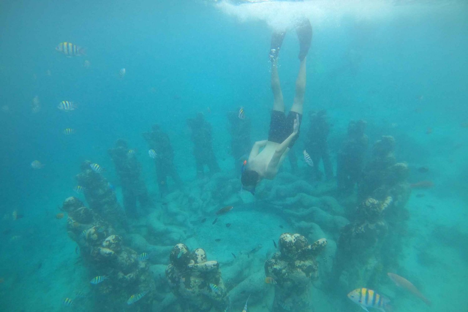 4 tuntia snorklausta 3 Gilillä ( Trawangan, Meno, Gili air).