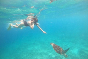 4 tuntia snorklausta 3 Gilillä ( Trawangan, Meno, Gili air).