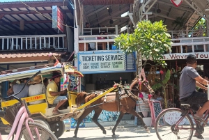 4 horas de mergulho com snorkel em 3 Gilis (Trawangan, Meno, Gili air)