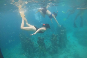 4 tuntia snorklausta 3 Gilillä ( Trawangan, Meno, Gili air).