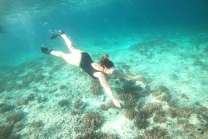 4 horas de mergulho com snorkel em 3 Gilis (Trawangan, Meno, Gili air)