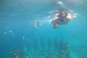 4 heures de plongée en apnée sur 3 Gilis (Trawangan, Meno, Gili air)