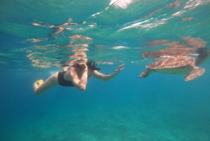 4 timers snorkling på 3 Gilis (Trawangan, Meno, Gili air)