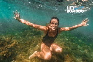 5 dias em Bali Lombok com mergulho com snorkel em Nusa Penida, 7 Gili e cachoeira