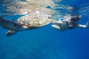 5 Secret Gili Boat Trip & Snorkeling w południowo-zachodniej części Lombok