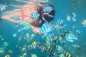 5 Excursión secreta en barco por las Gili y snorkel en el suroeste de Lombok