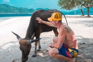 5 Excursion secrète en bateau à Gili et plongée en apnée au sud-ouest de Lombok