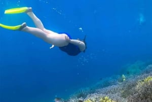 Un giorno in paradiso: Tour delle Gili Nanggu, Sudak e Kedis