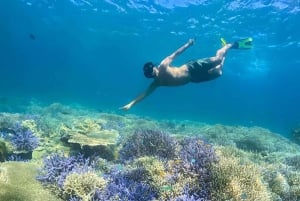 Une journée au paradis : Visite de Gili Nanggu, Sudak et Kedis