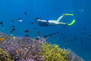 Une journée au paradis : Visite de Gili Nanggu, Sudak et Kedis