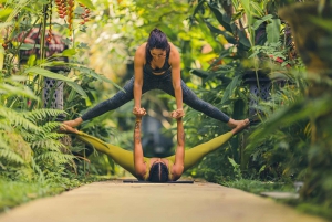 Cours d'acroyoga