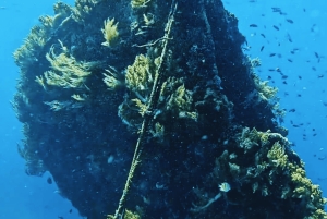 Amed Bali Snorkeling: Explore 3 Spots by Traditional Jukung