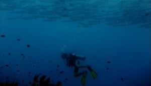 Aquaddiction Dive