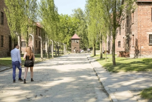 Auschwitz Birkenau Museum: Guided Minivan Tour from Krakow