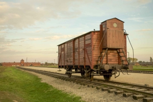 Auschwitz Birkenau Museum: Guided Minivan Tour from Krakow