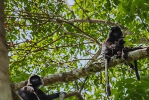 Private One-Day Tour: Authentic Tete Batu & Sukarara Village