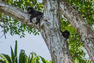 Private One-Day Tour: Authentic Tete Batu & Sukarara Village