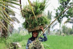 Private One-Day Tour: Authentic Tete Batu & Sukarara Village