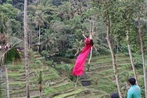 Bali : 12 heures pour aller n'importe où Points forts de l'île de Bali