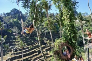 Bali : 12 heures pour aller n'importe où Points forts de l'île de Bali