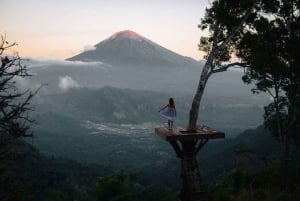 Bali: 12 timer til alle steder Højdepunkter på øen Bali