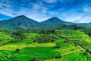 Bali: 12 timer til alle steder Højdepunkter på øen Bali