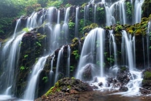 Bali: 12 horas para qualquer lugar Destaques da ilha de Bali