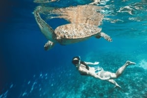 Bali: 3-dniowa prywatna wycieczka Gili Islands Snorkel Tour z hotelem