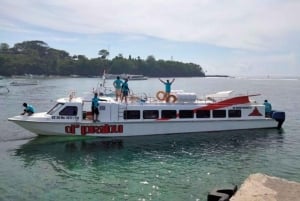 Bali: Fast Boat Padangbai to/from Gili Air/Trawangan/Lombok