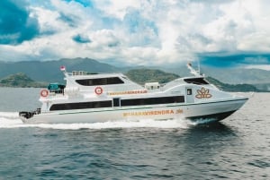 Bali: Fast Boat Ticket naar Gili Trawangan, Gili Air, Lombok