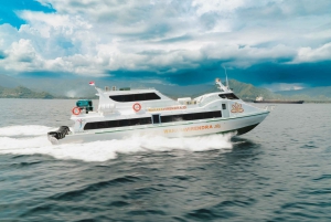 Bali: Fast Boat Ticket to Gili Trawangan, Gili Air, Lombok