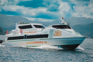 Bali: Ingresso de barco rápido para Gili Trawangan, Gili Air, Lombok