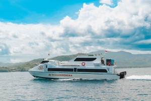 Bali: Ingresso de barco rápido para Gili Trawangan, Gili Air, Lombok