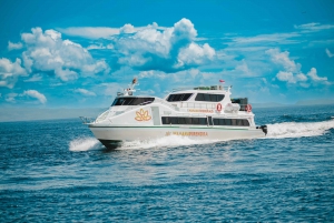 Bali: Fast Boat Ticket naar Gili Trawangan, Gili Air, Lombok