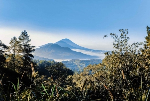 Bali: Trekking all'alba del Monte Batur con guida e colazione