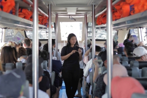 Bali: Enveisbillett til Gili Trawangan fra Sanur