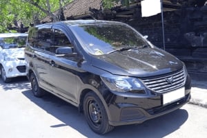Bali : Private Transfer Between Bali Airport/Harbor and Ubud