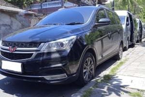 Bali : Private Transfer Between Bali Airport/Harbor and Ubud